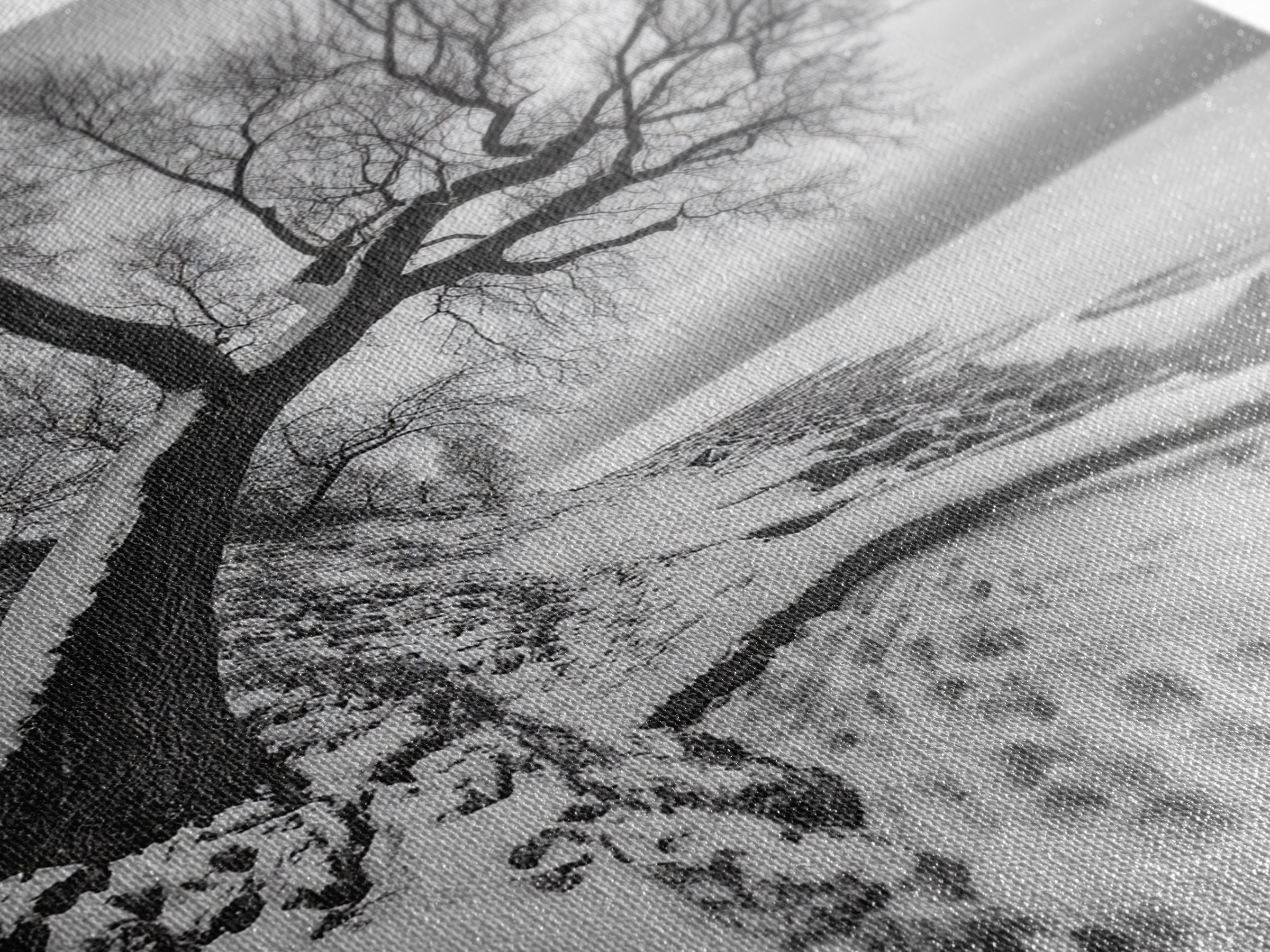 Coastal Snow, Barren Tree, Frozen Shoreline, Canvas Print, Serene Winter Decor, Entryway or Hallway Minimalist Wall Art