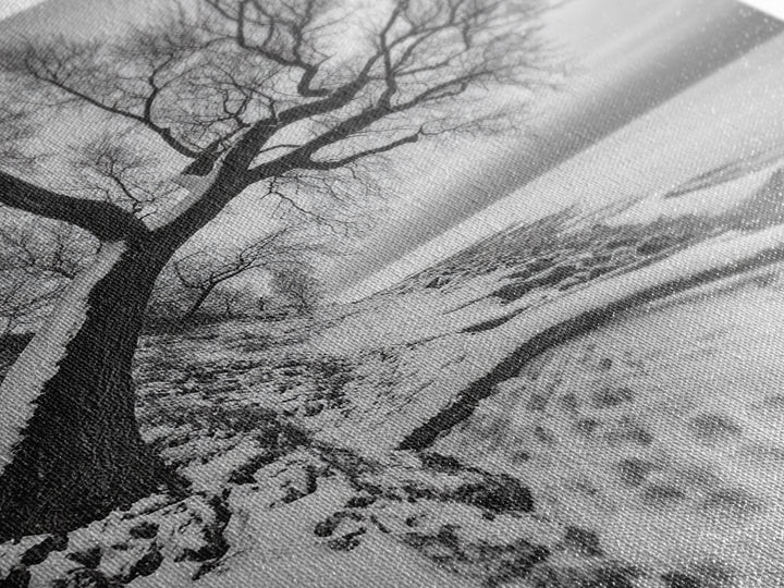 Coastal Snow, Barren Tree, Frozen Shoreline, Canvas Print, Serene Winter Decor, Entryway or Hallway Minimalist Wall Art