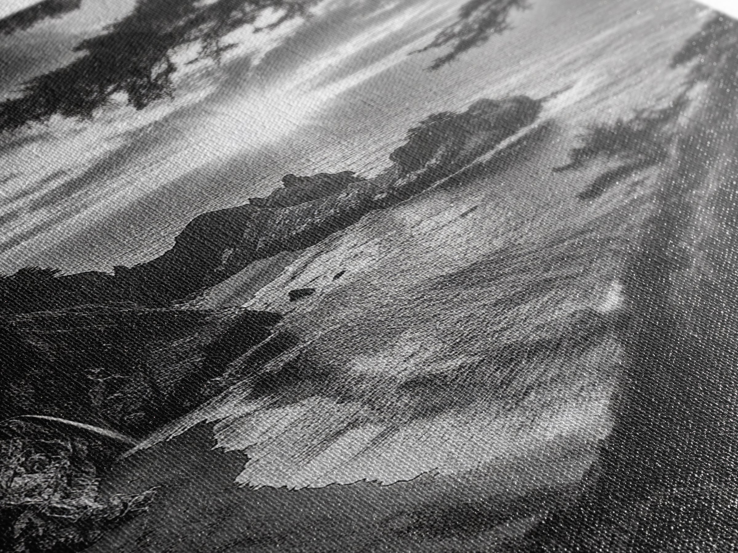 Cliffside Ocean View, Sunset Horizon, Trees Framing Sky, Canvas Print, Coastal Landscape Art, Cabin Living Room Decor, Moody Style