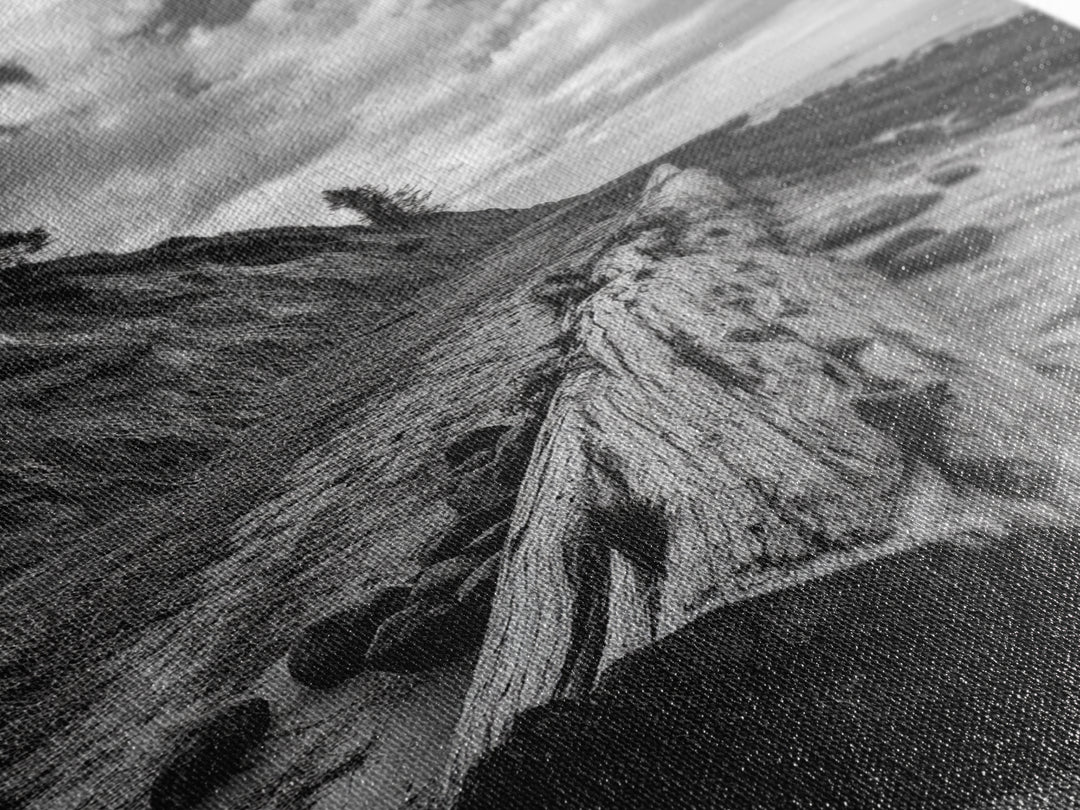 Driftwood Coastal Trail, Cliffside Path Nature Art, Rustic Cabin Style, Black White Photography, Framed Canvas Print, Hallway Wall Decor