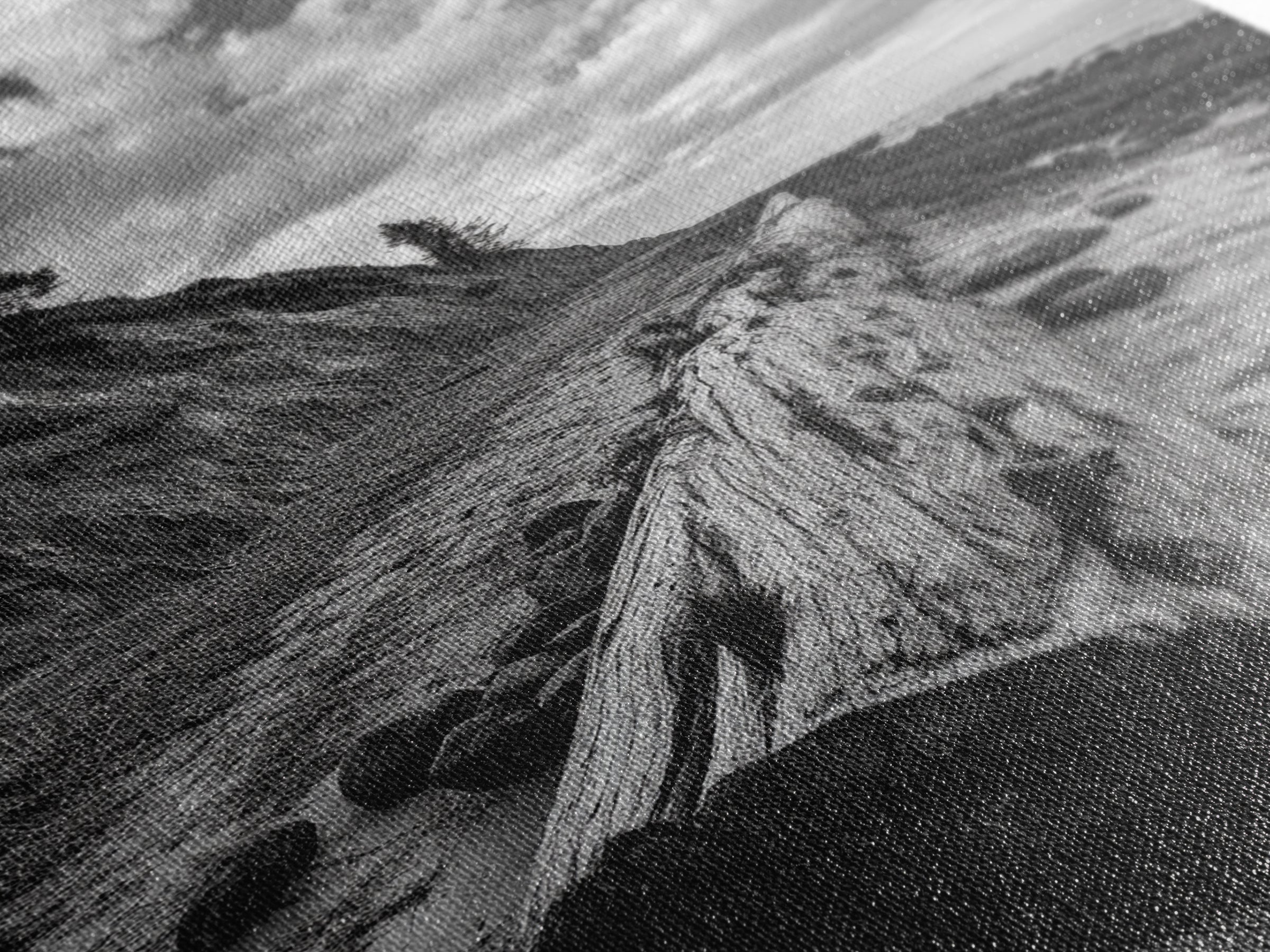 Driftwood Coastal Trail, Cliffside Path Nature Art, Rustic Cabin Style, Black White Photography, Framed Canvas Print, Hallway Wall Decor