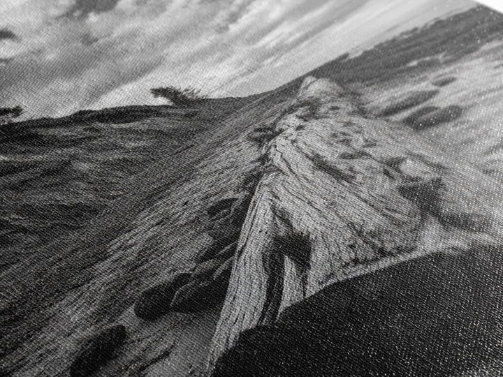 Driftwood Coastal Trail, Cliffside Path Nature Art, Rustic Cabin Style, Black White Photography, Framed Canvas Print, Hallway Wall Decor