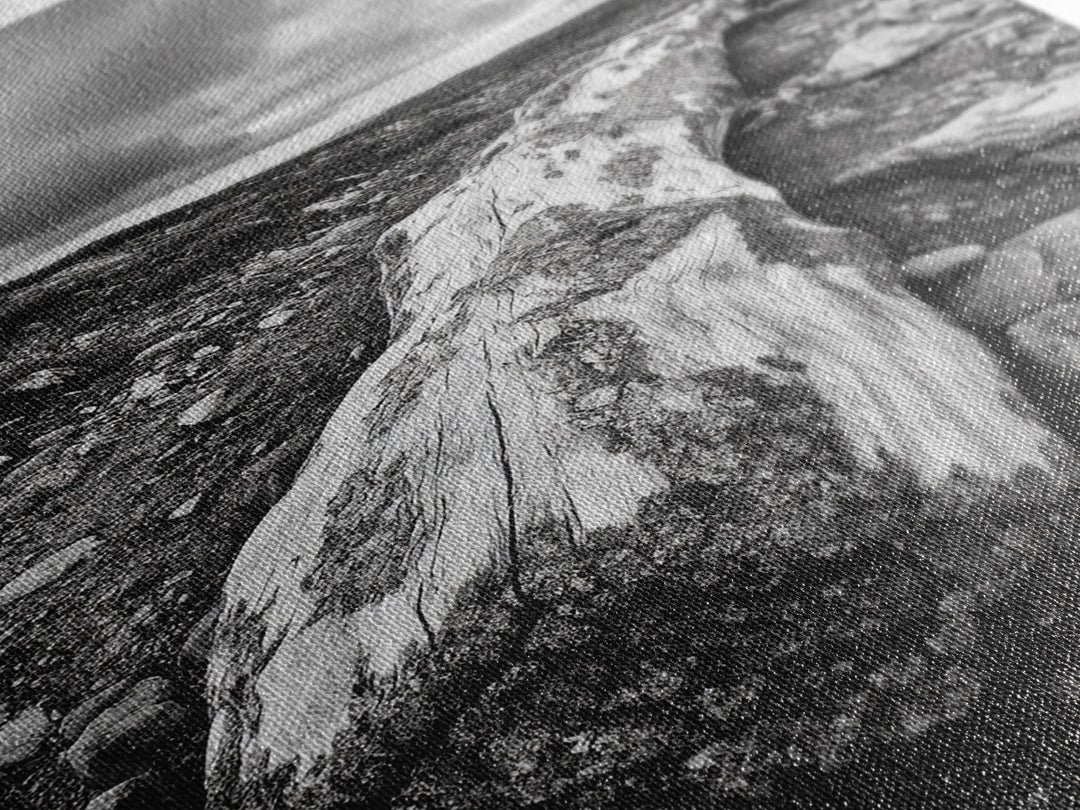 Rocky Terrain Driftwood, Weathered Wood Scene, Outdoor Adventure Art, Modern Rustic Decor, Framed Canvas Print, Earthy Tones Photography