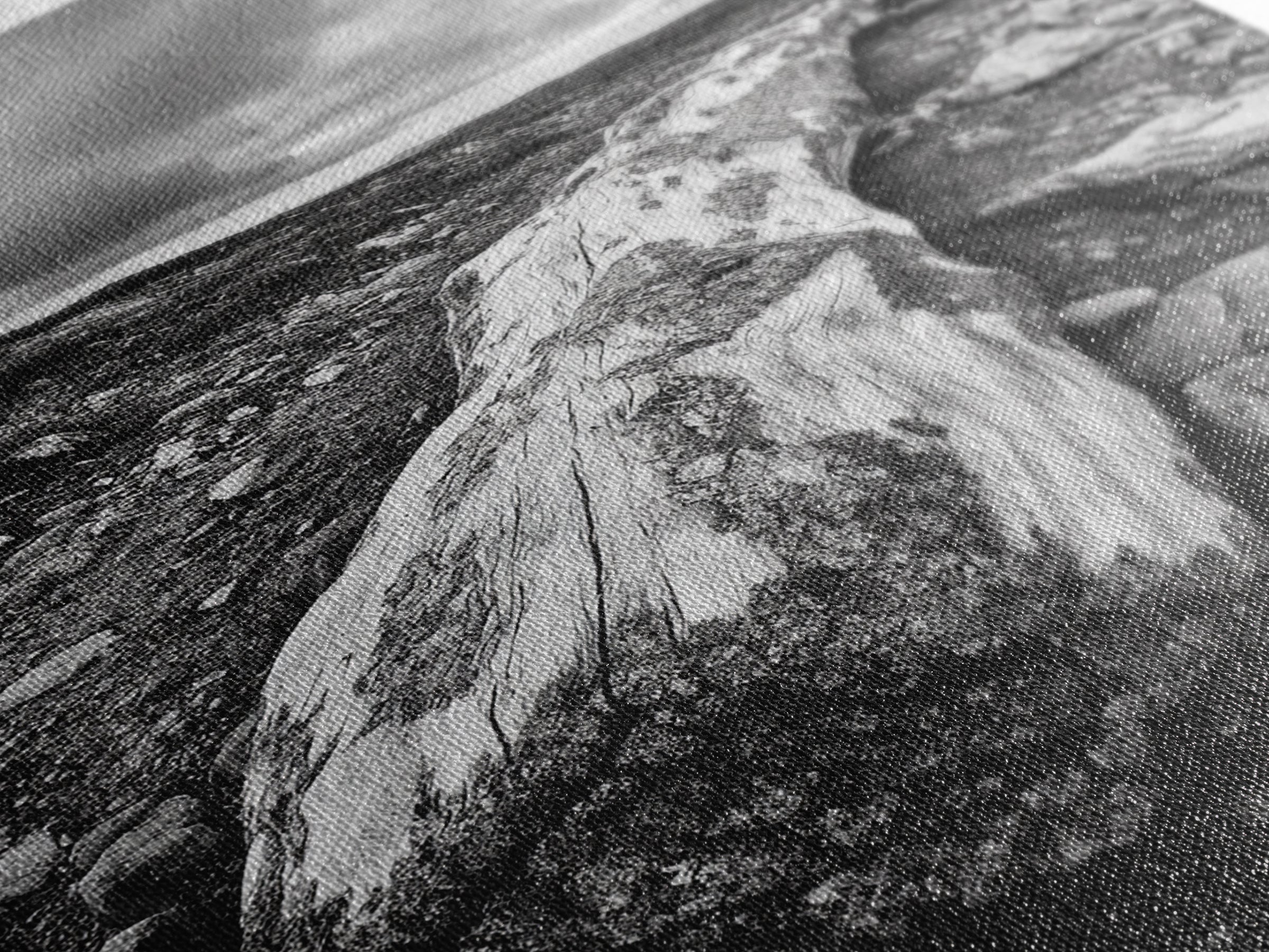 Rocky Terrain Driftwood, Weathered Wood Scene, Outdoor Adventure Art, Modern Rustic Decor, Framed Canvas Print, Earthy Tones Photography