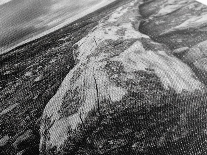 Rocky Terrain Driftwood, Weathered Wood Scene, Outdoor Adventure Art, Modern Rustic Decor, Framed Canvas Print, Earthy Tones Photography