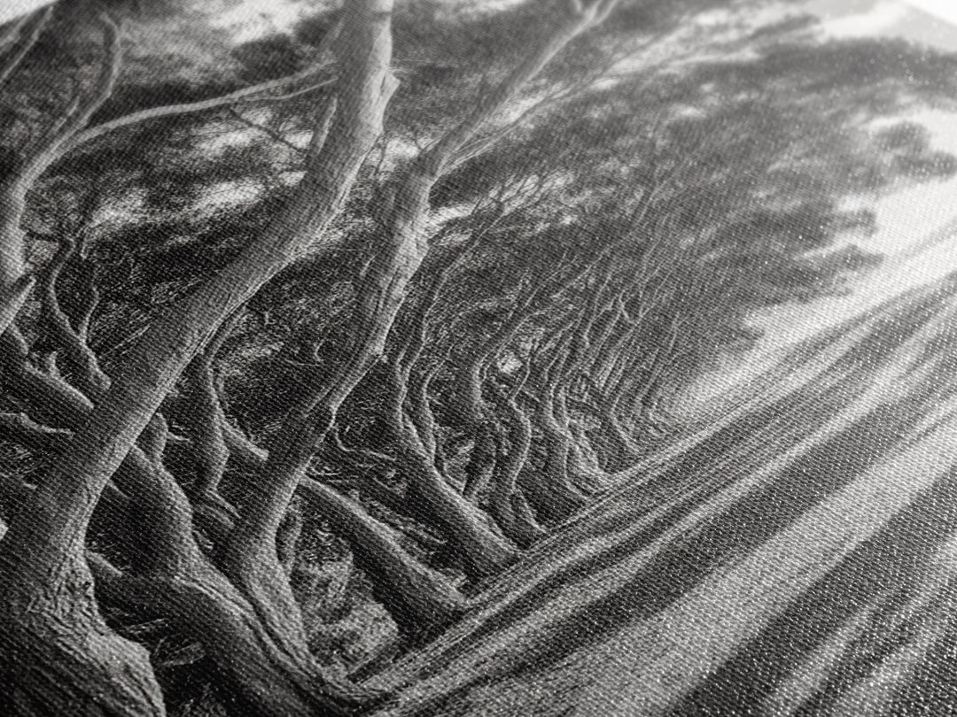 Coastal Tree Path, Nature Shadows, Ocean Breeze, Autumn Light, Framed Canvas Print, Living Room Wall Art, Moody Landscape Photography