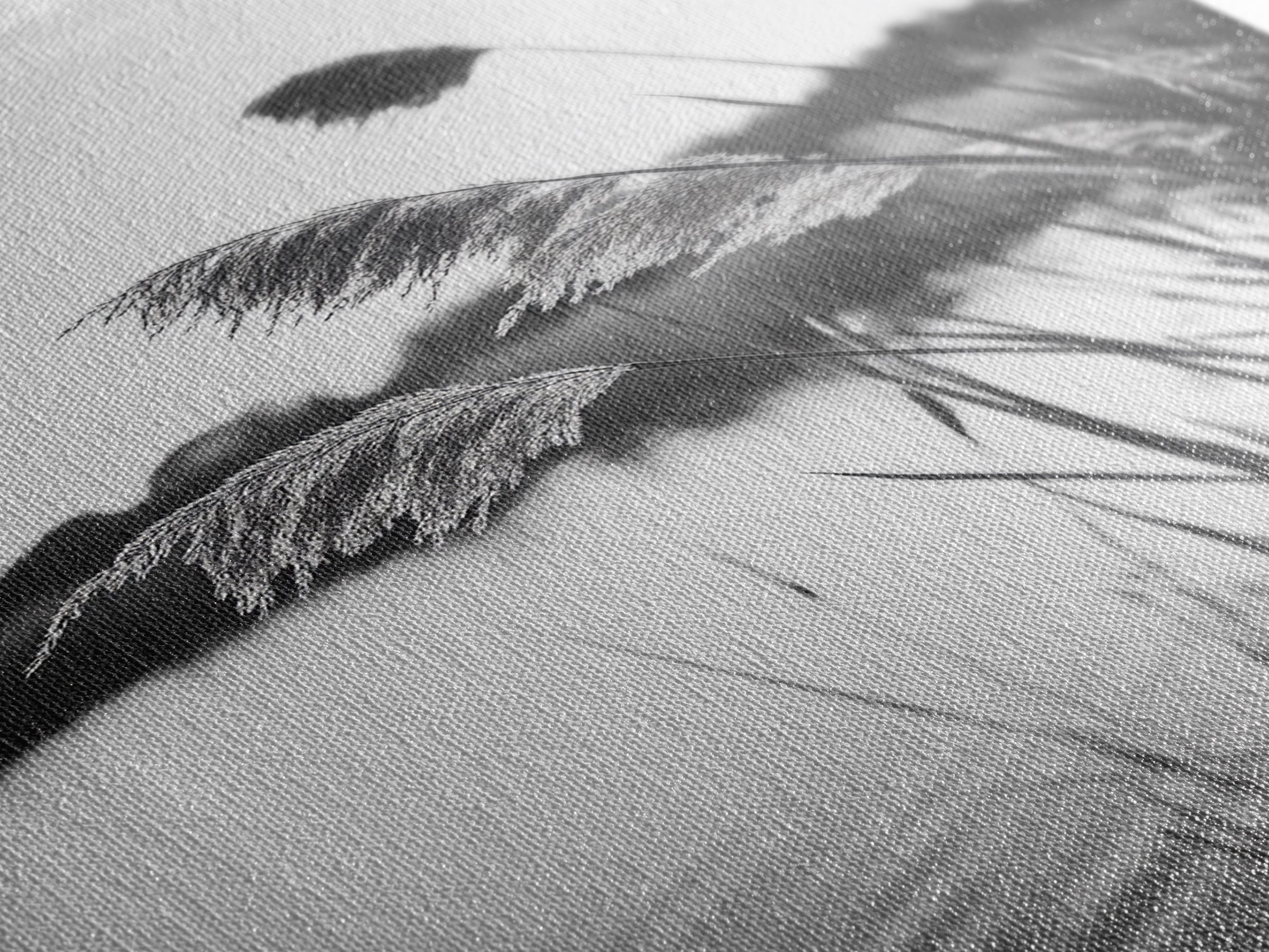 Reed Grass, Gentle Breeze, Black and White Nature, Canvas Print, Minimalist Wall Art, Tranquil Lake Scene, Bedroom Decor
