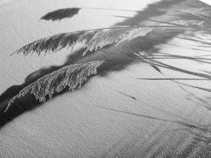 Reed Grass, Gentle Breeze, Black and White Nature, Canvas Print, Minimalist Wall Art, Tranquil Lake Scene, Bedroom Decor