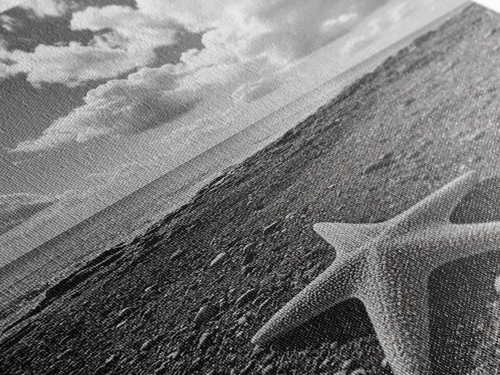 Starfish on Shore, Rocky Beach Scene, Cloudy Sky Horizon, Ocean Calm, Framed Canvas Print, Coastal Art, Bathroom Wall Decor