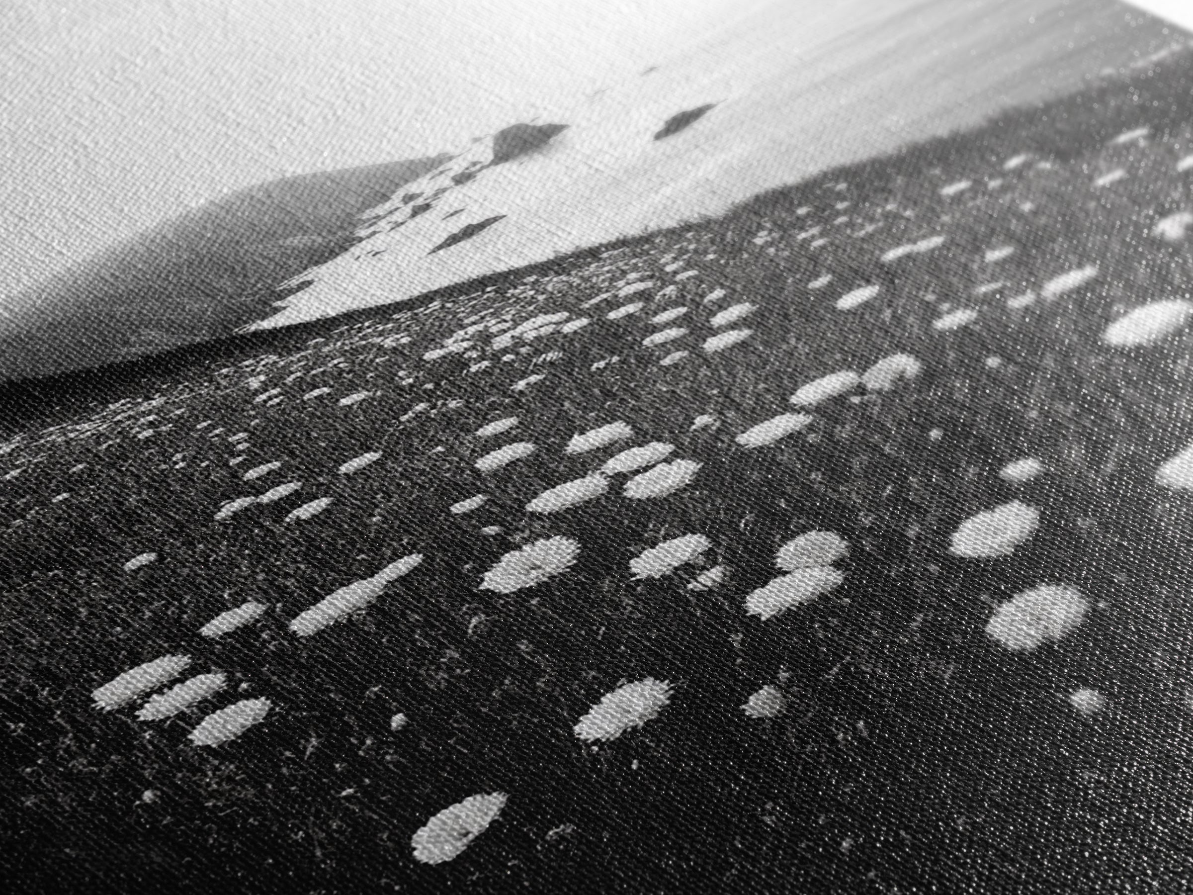 Daisy Cliffside Bloom, Coastal Flowers, Peaceful Nature Scene, Framed Canvas Print, Bedroom Wall Art, Botanical Decor, Minimalist Style