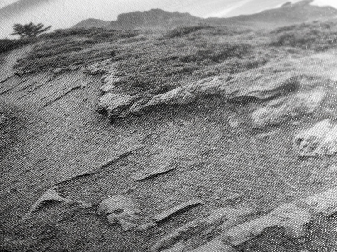 Rocky Cliff Trail, Coastal Hiking, Rugged Landscape, Nature Adventure Art, Framed Canvas Print, Cabin Wall Decor, Black and White Aesthetic