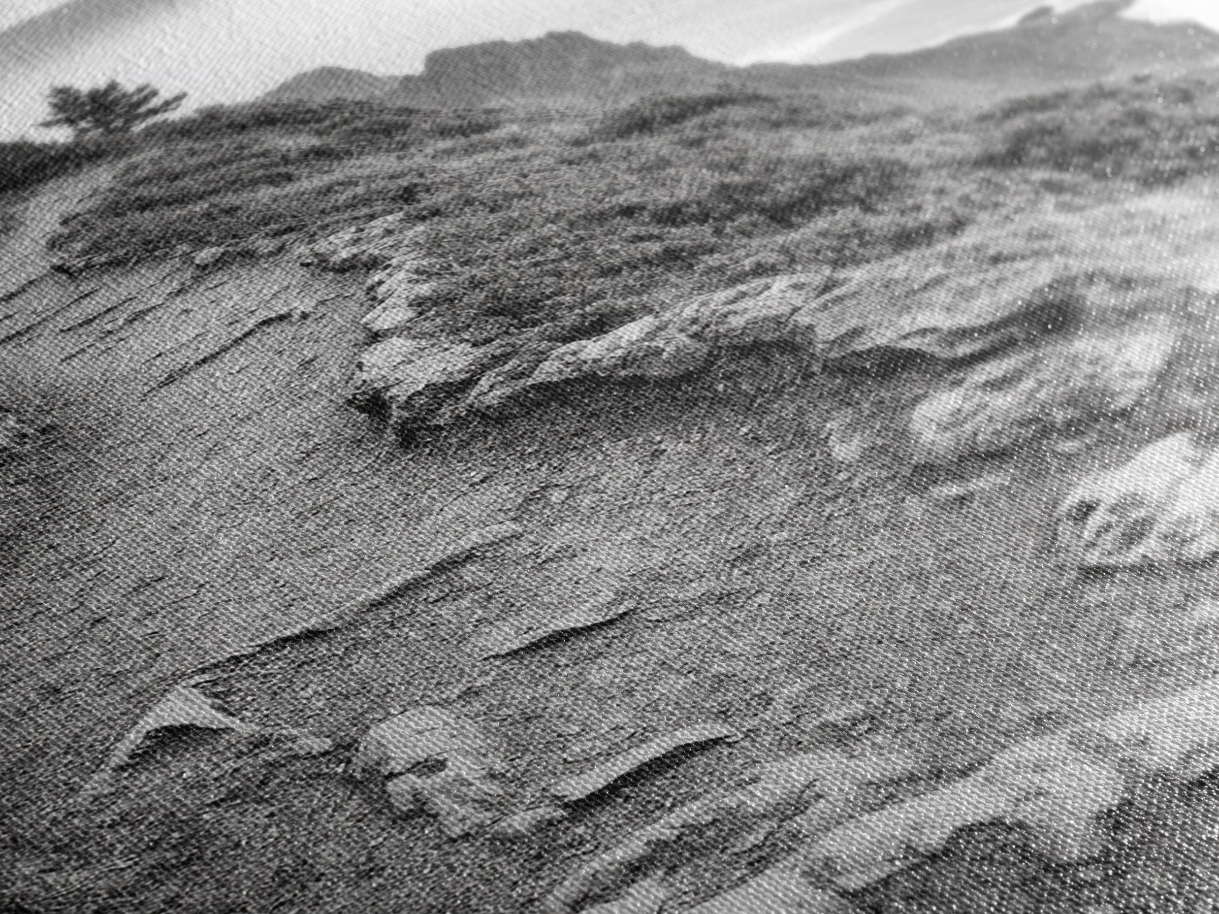 Rocky Cliff Trail, Coastal Hiking, Rugged Landscape, Nature Adventure Art, Framed Canvas Print, Cabin Wall Decor, Black and White Aesthetic