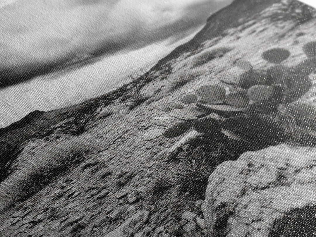 Desert Storm, Cactus Scene, Black White Art, Canvas Print, Southwest Wall Art, Earthy Tones Decor, Boho Style, Entryway Wall Accent