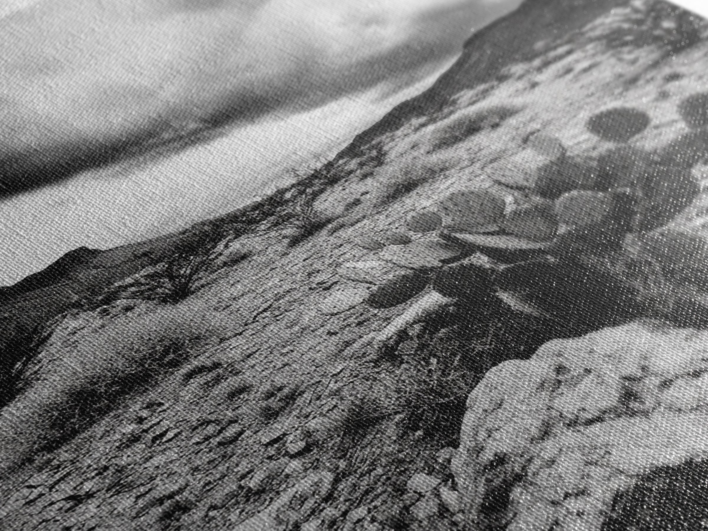 Desert Storm, Cactus Scene, Black White Art, Canvas Print, Southwest Wall Art, Earthy Tones Decor, Boho Style, Entryway Wall Accent