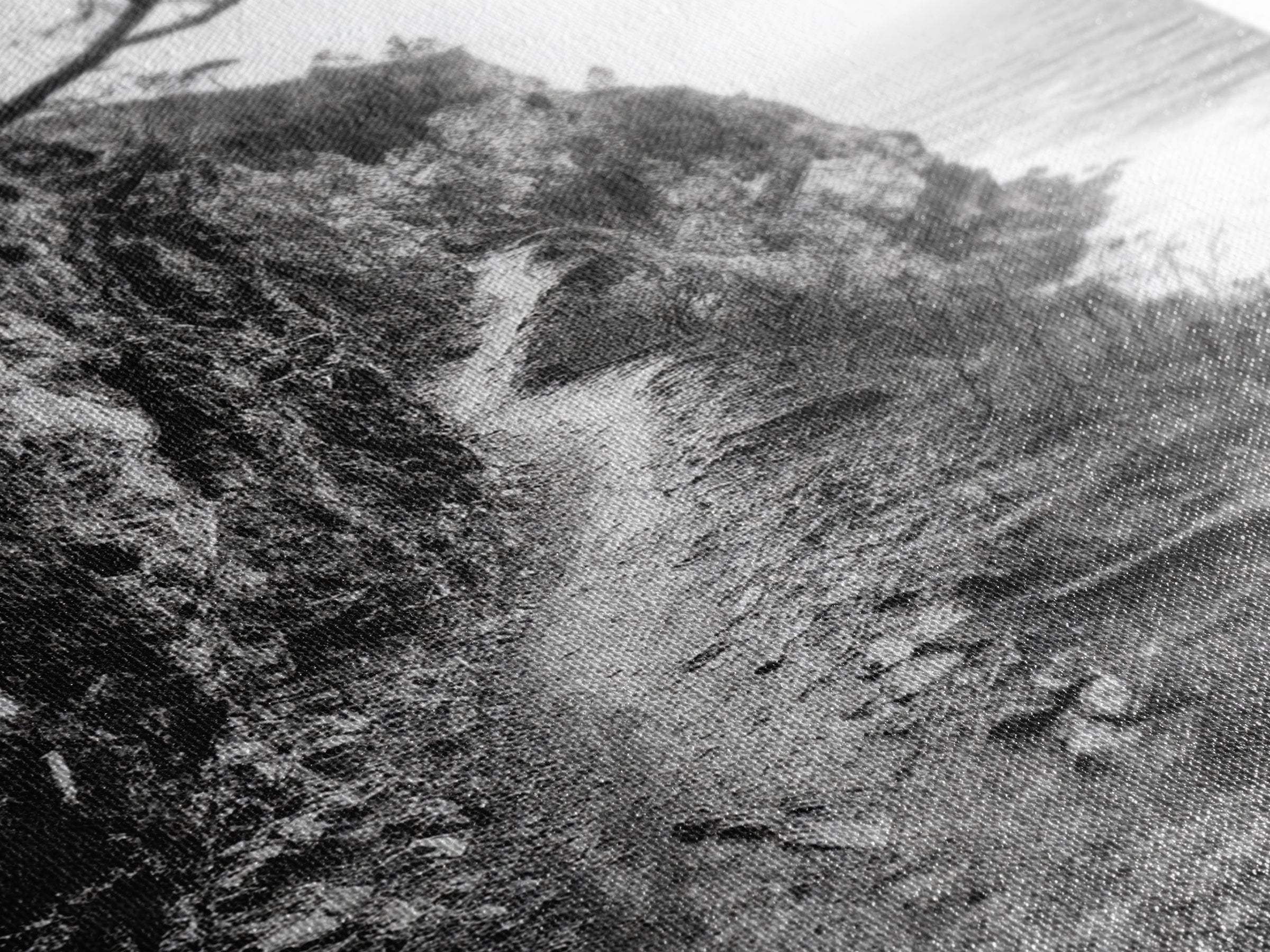 Cliffside Trail, Seaside Path, Coastal Adventure, Outdoor Photography, Framed Canvas Print, Cabin Nature Lover Wall Art, Bedroom Wall Art