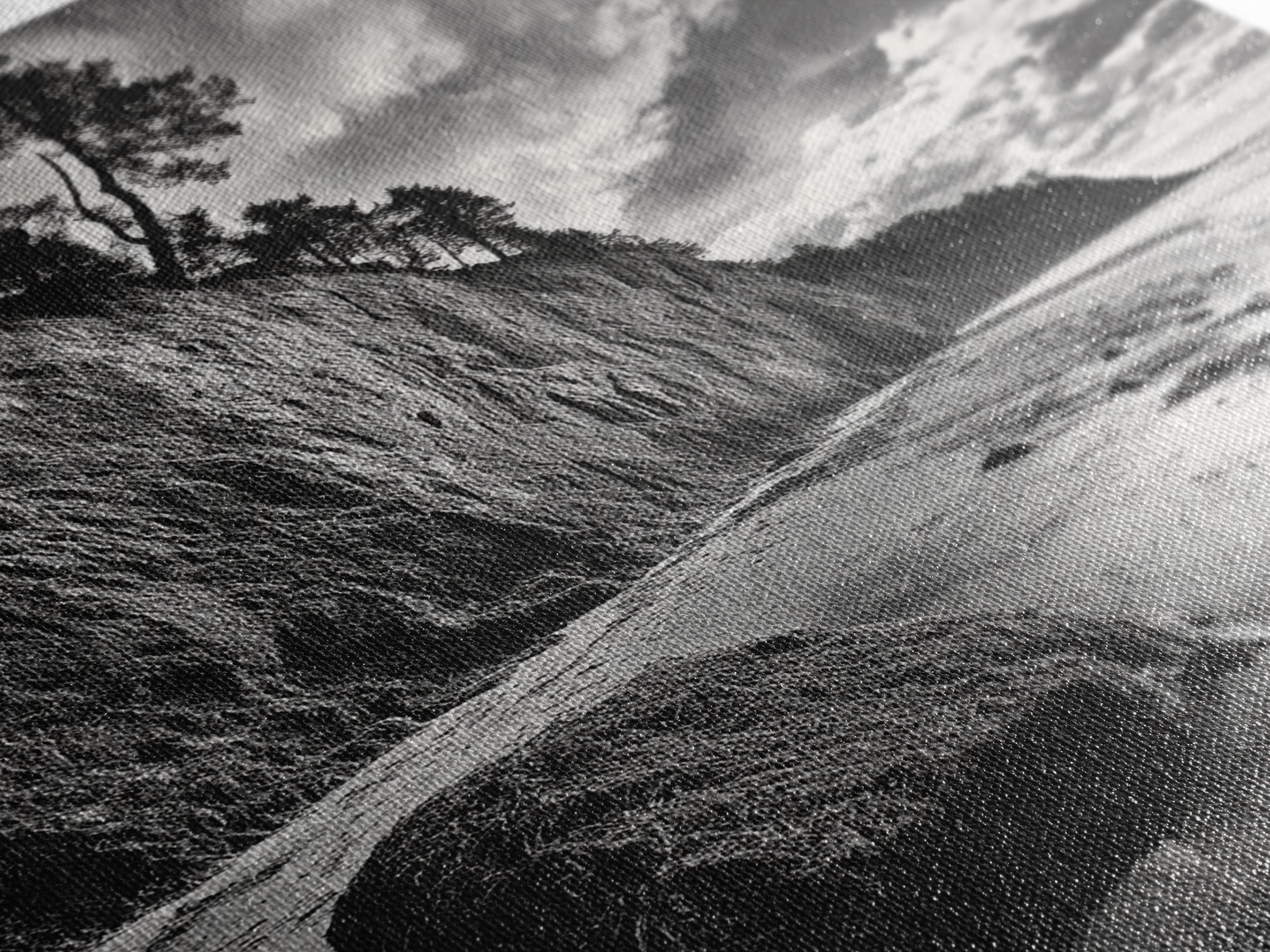 Cliffside Trees, Coastal Horizon, Rugged Seashore, Pacific Northwest Print, Framed Canvas Print, Fall Nature Wall Art, Den Decor