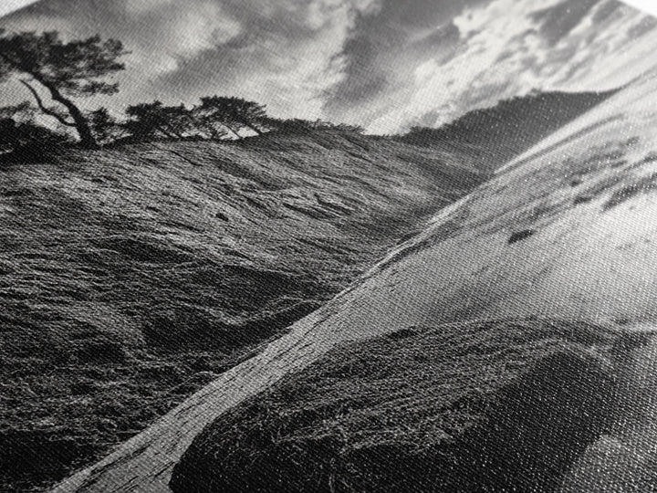 Cliffside Trees, Coastal Horizon, Rugged Seashore, Pacific Northwest Print, Framed Canvas Print, Fall Nature Wall Art, Den Decor