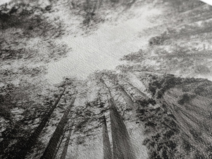 Redwood Canopy Sky, Majestic Forest Trees, Vertical Nature Scene, Framed Canvas Print, Wilderness Wall Art, Lodge or Den Decor