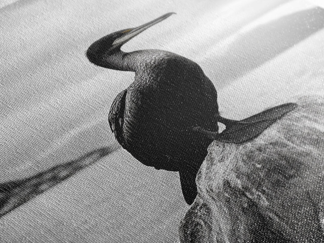 Coastal Bird Portrait, Nature Minimalism, Lake Decor, Monochrome Wildlife, Framed Canvas Print, Bedroom Wall Art, Bird Photography Print