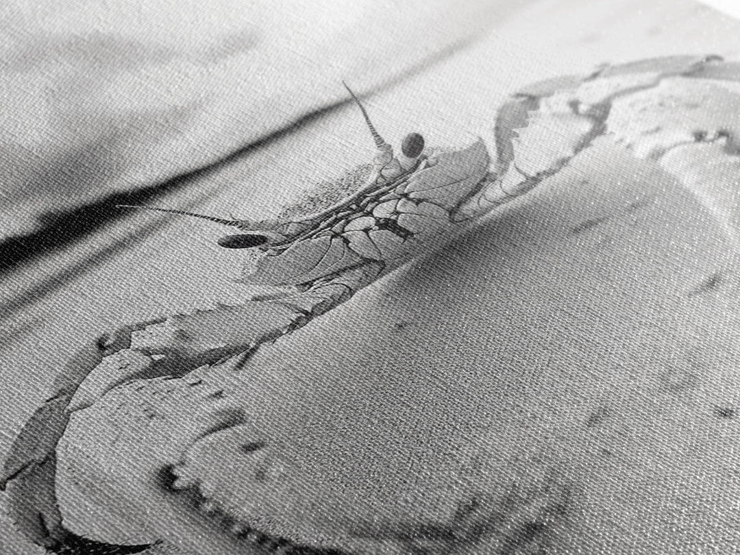 Beach Crab Portrait, Closeup Ocean Art, Tropical Minimalism, Coastal Creature Photo, Framed Canvas Print, Bathroom Wall Decor, Marine Decor