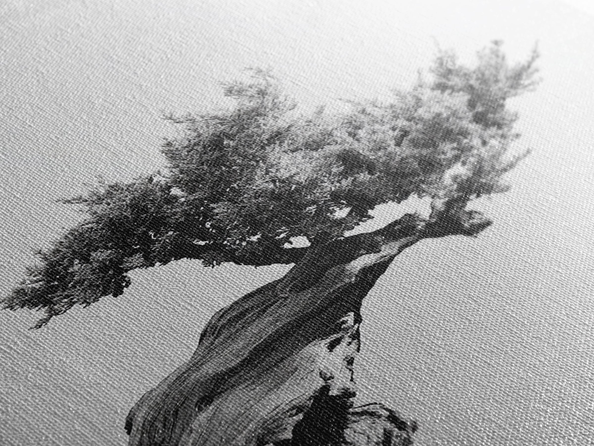 Bonsai Tree, Windswept Wood, Minimal Zen, Canvas Print, Japanese Style Art, Wabi Sabi Decor, Monochrome Botanical Wall Accent