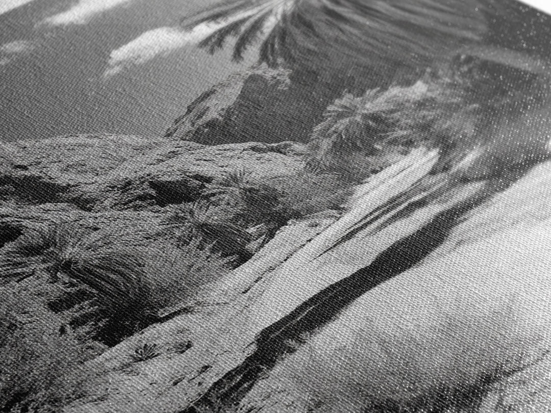 Desert Oasis, Palm Trees, Canyon Trail, Framed Canvas Print, Nature Photography Art, Warm Boho Wall Decor, Rustic Entryway Accent