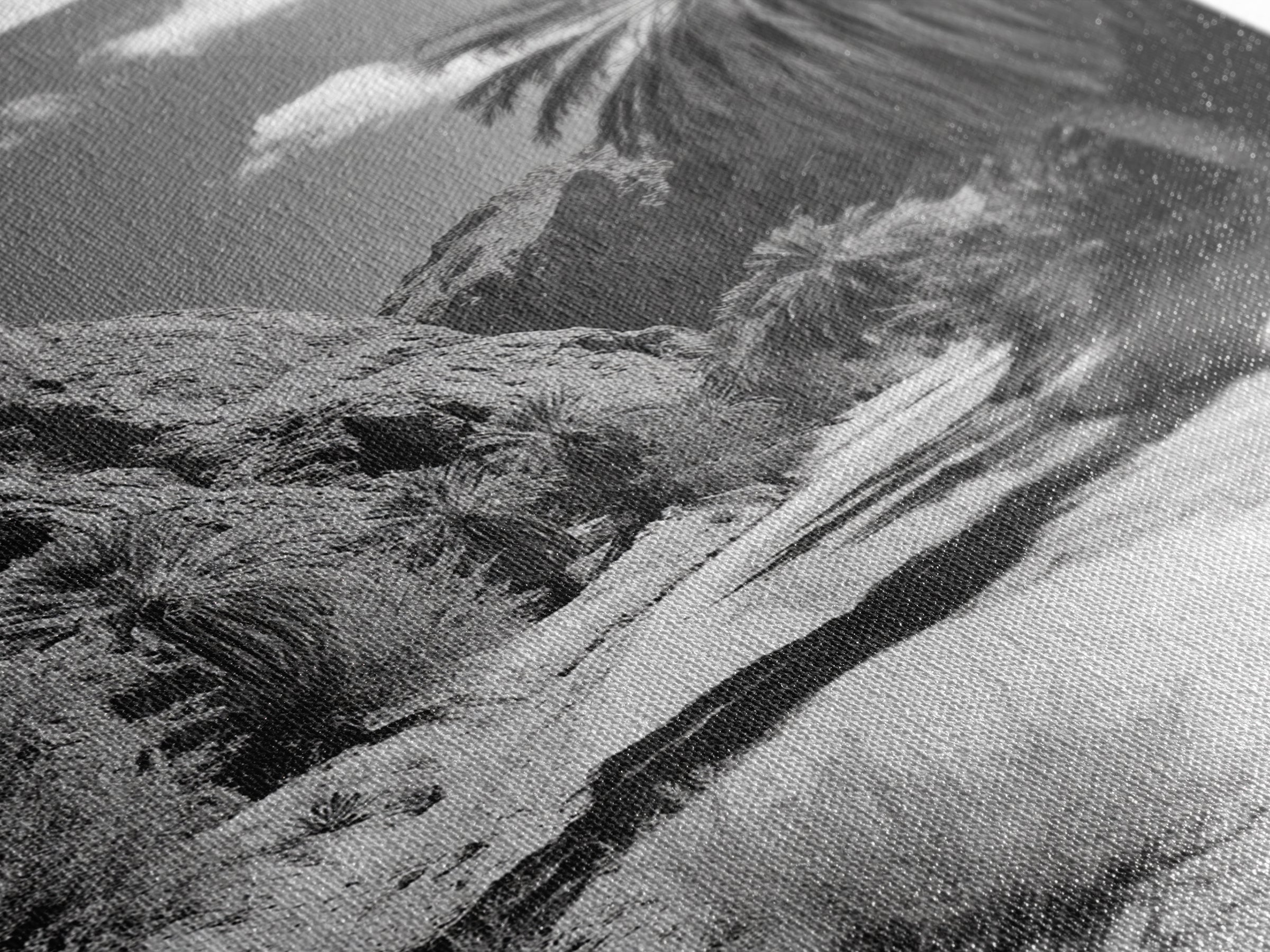 Desert Oasis, Palm Trees, Canyon Trail, Framed Canvas Print, Nature Photography Art, Warm Boho Wall Decor, Rustic Entryway Accent