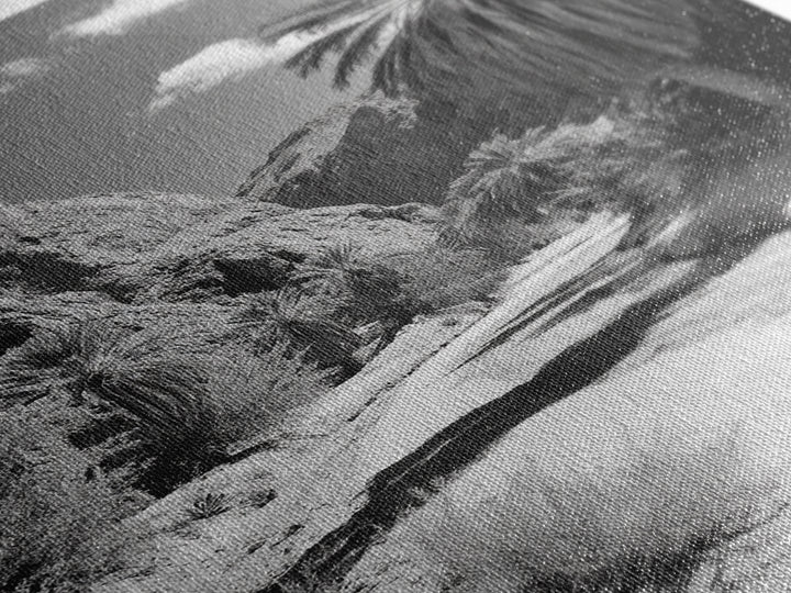 Desert Oasis, Palm Trees, Canyon Trail, Framed Canvas Print, Nature Photography Art, Warm Boho Wall Decor, Rustic Entryway Accent