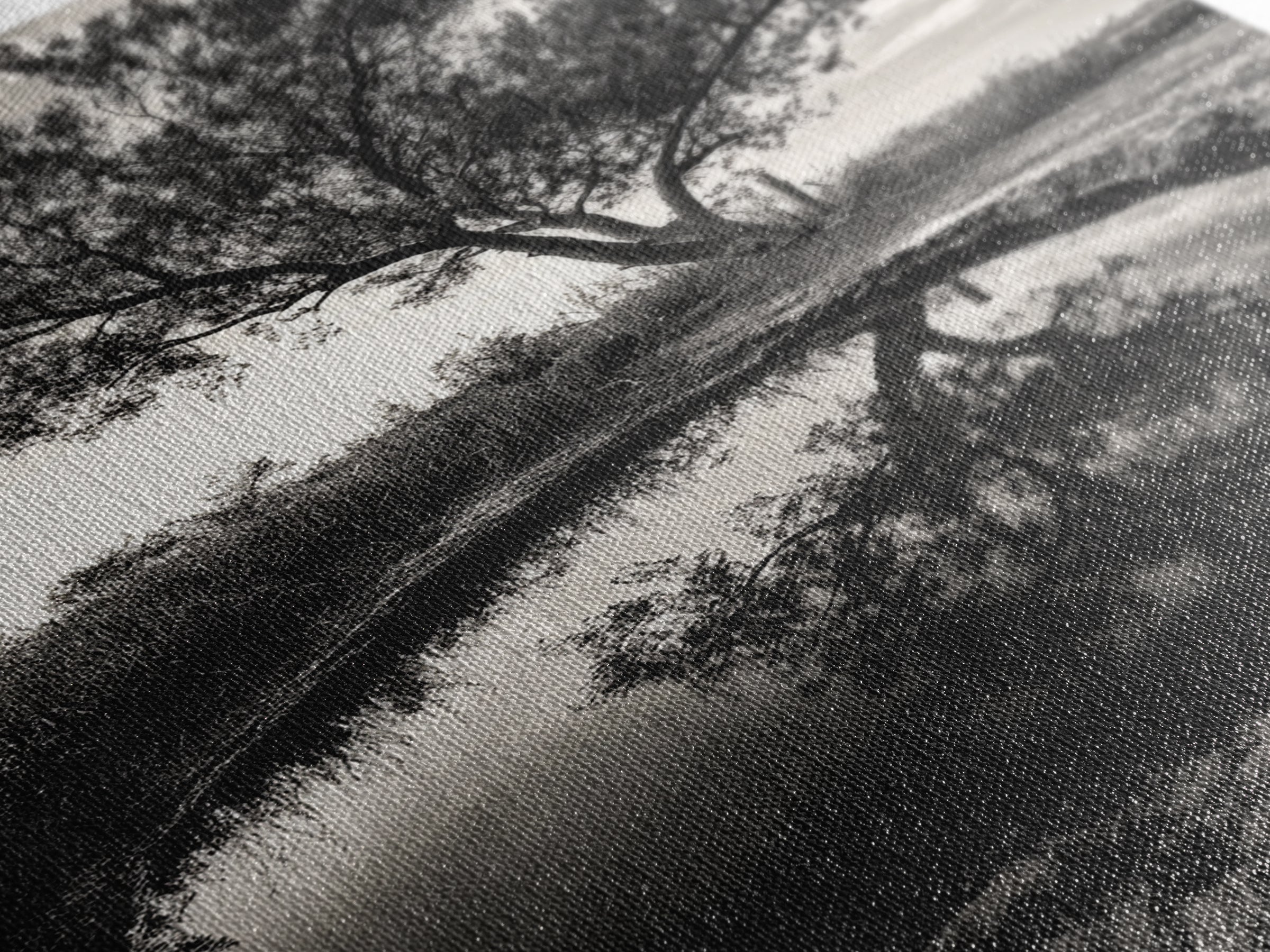 Tree Reflection, Still Water, Peaceful Nature, Framed Canvas Print, Tranquil Wall Art, Rustic Bedroom Decor, Black and White Photography