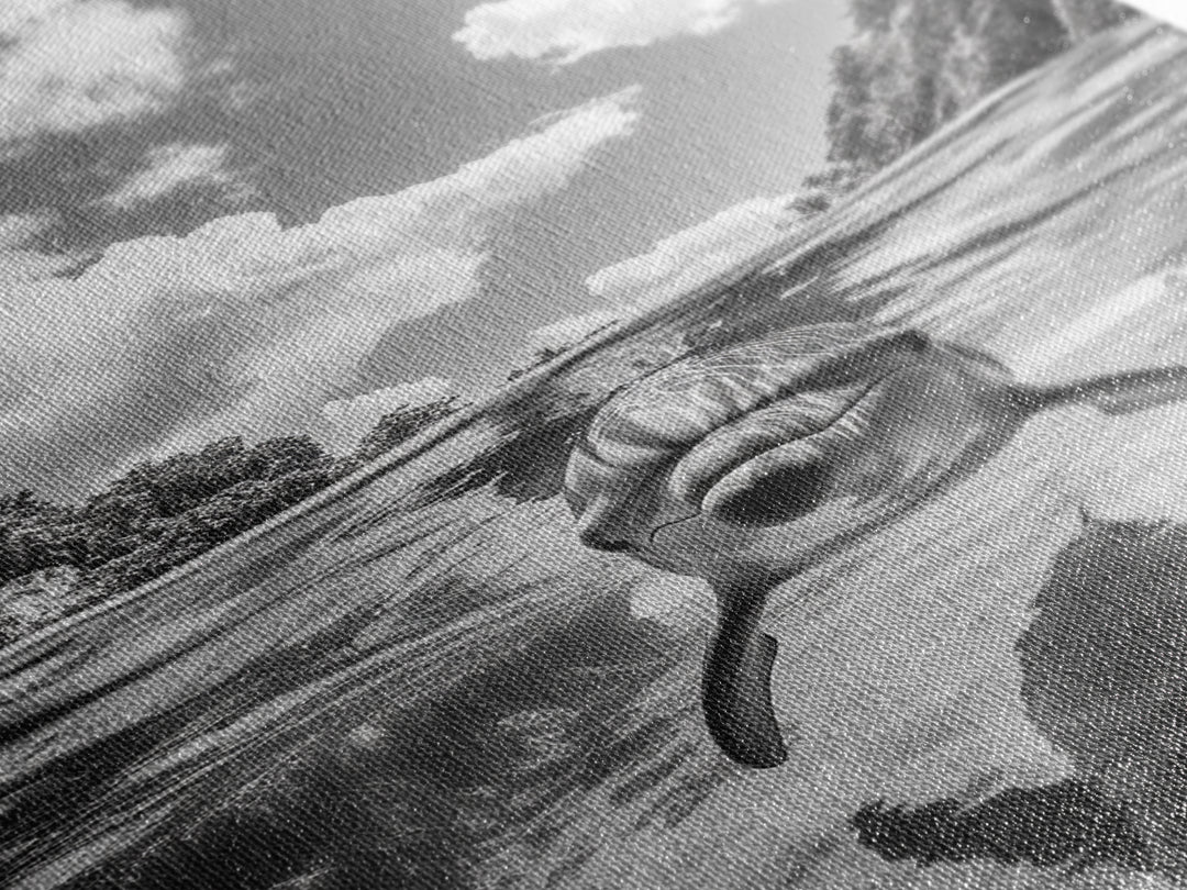 Dolphin Play, Ocean Joy, Underwater View, Canvas Print, Nautical Wall Art, Coastal Bathroom Decor, Playful Beach House Style