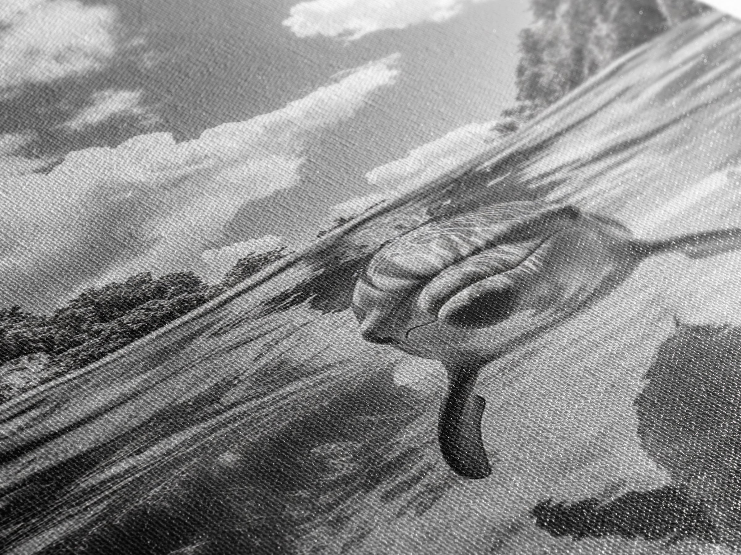 Dolphin Play, Ocean Joy, Underwater View, Canvas Print, Nautical Wall Art, Coastal Bathroom Decor, Playful Beach House Style