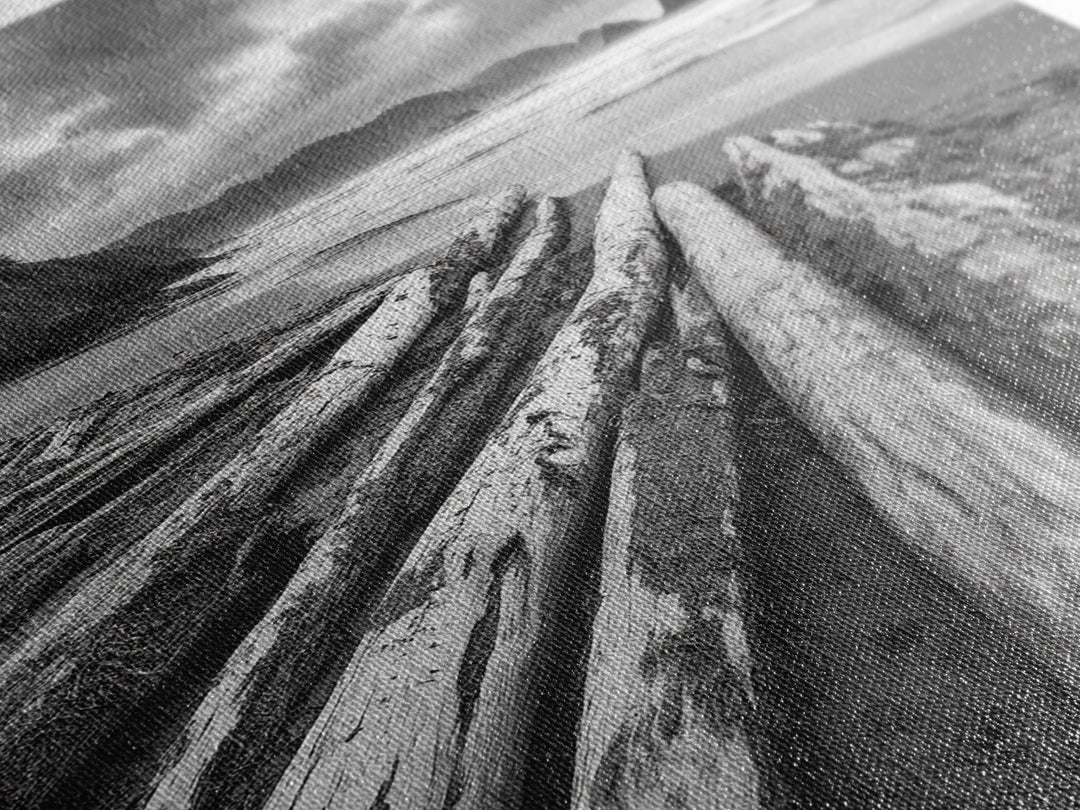 Driftwood Beach, Coastal Logs, Wild Shore, Canvas Print, Rustic Ocean Wall Art, Cabin Bathroom Decor, Nature Inspired Photography