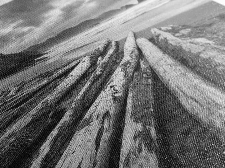 Driftwood Beach, Coastal Logs, Wild Shore, Canvas Print, Rustic Ocean Wall Art, Cabin Bathroom Decor, Nature Inspired Photography