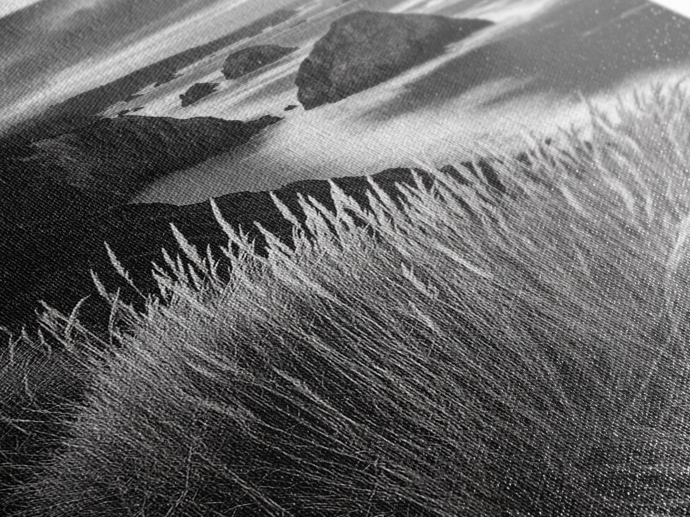 Coastal Cliffs, Ocean Rocks, Tall Grass, Canvas Print, Windswept Landscape Art, Beach House Wall Decor, Monochrome Nature Scene