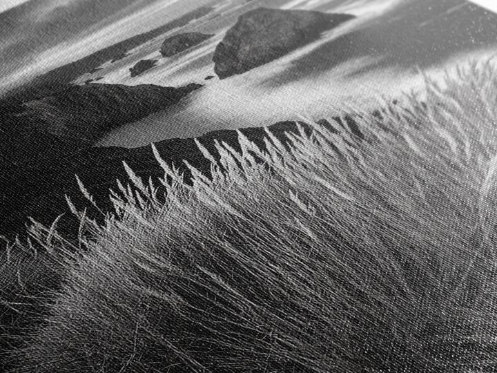 Coastal Cliffs, Ocean Rocks, Tall Grass, Canvas Print, Windswept Landscape Art, Beach House Wall Decor, Monochrome Nature Scene