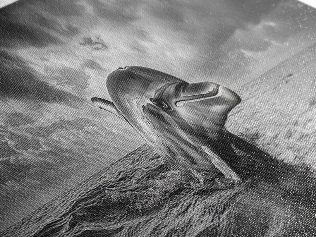 Dolphin Ocean Art, Playful Sea Animal Print, Modern Coastal Decor, Framed Canvas Print, Bathroom Wall Art, Nature Photography