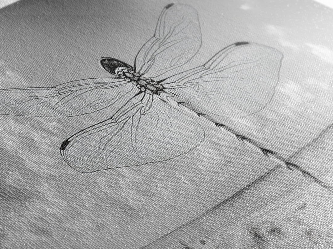 Dragonfly Beach Art, Detailed Insect Wings, Nature Wall Decor, Framed Canvas Print, Boho Bedroom Art, Minimal Wildlife Photography