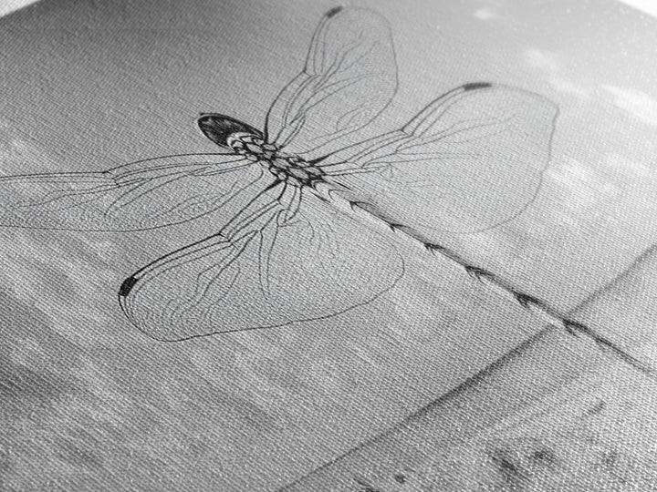 Dragonfly Beach Art, Detailed Insect Wings, Nature Wall Decor, Framed Canvas Print, Boho Bedroom Art, Minimal Wildlife Photography