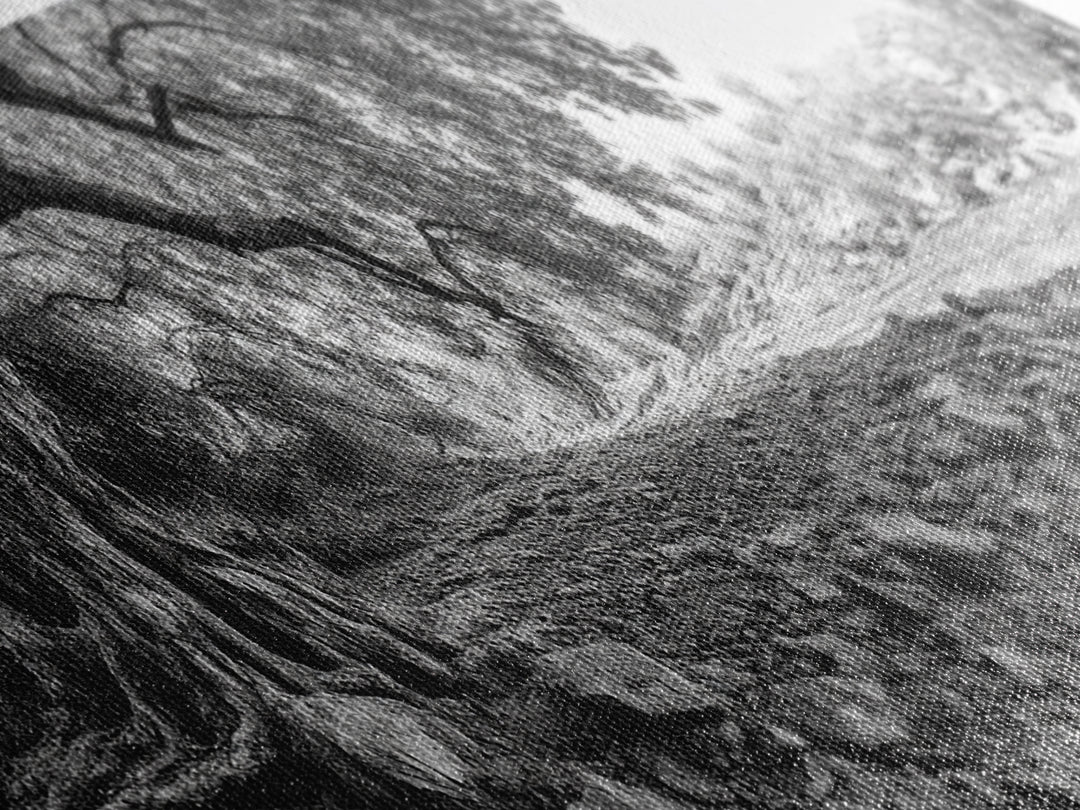 River Tree Roots, Tranquil Forest Landscape, Nature Wall Decor, Framed Canvas Print, Living Room Art, Black and White Earthy Style