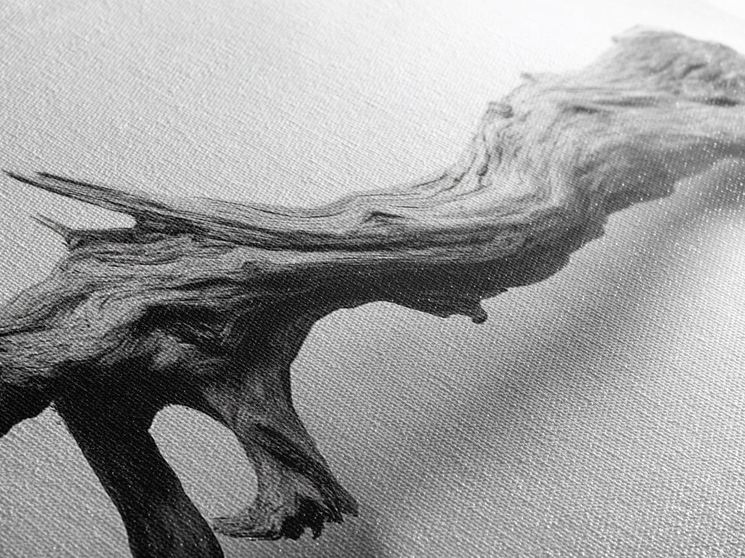 Driftwood Closeup, Minimal Nature Print, Scandinavian Neutral Decor, Framed Canvas Print, Modern Wall Art, Organic Texture Style