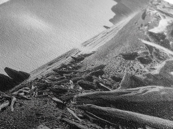 Coastal Driftwood Scene, Rugged Ocean Beach, Moody Nature Landscape, Framed Canvas Print, Rustic Wall Decor, Fall Coastal Photography