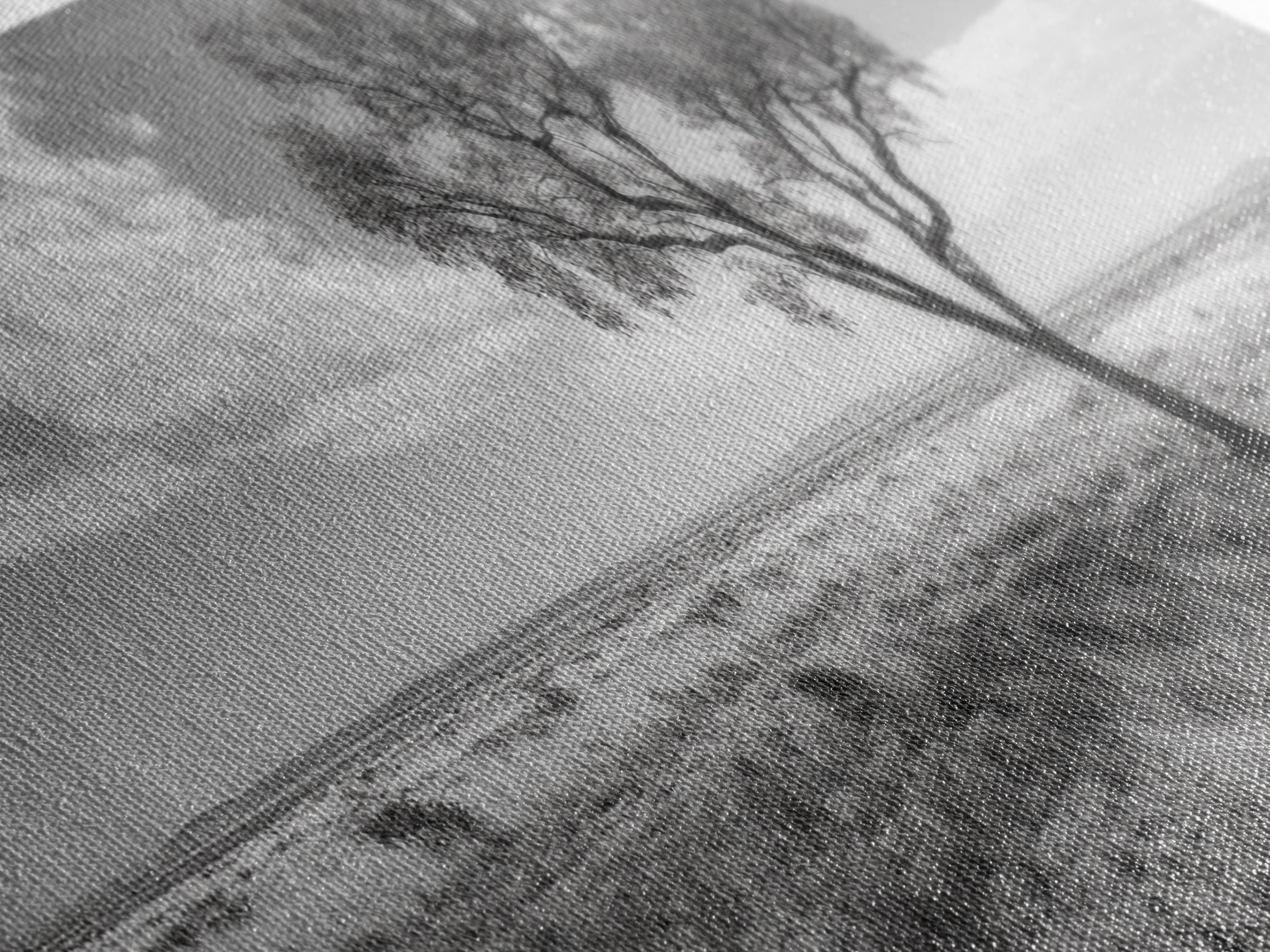 Desert Tree, Solitude Scene, Nature Photography, Framed Canvas Print, Minimalist Tree Art, Bedroom Wall Decor, Neutral Landscape Art