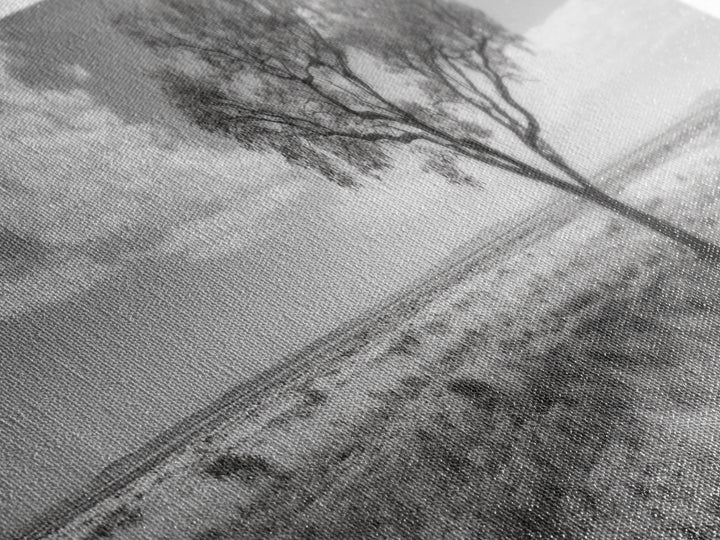 Desert Tree, Solitude Scene, Nature Photography, Framed Canvas Print, Minimalist Tree Art, Bedroom Wall Decor, Neutral Landscape Art