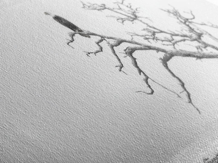 Bald Eagle, Tree Perch, Foggy Coast, Framed Canvas Print, Wildlife Photography, Cabin Wall Art, Rustic Minimalist Decor