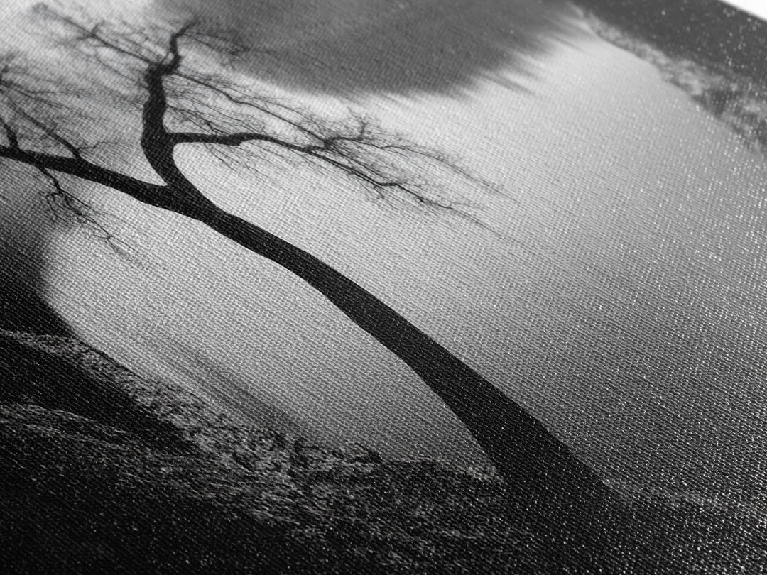 Curved Tree, Still Lake, Moody Landscape, Framed Canvas Print, Modern Nature Photography, Fall Home Decor, Living Room Art