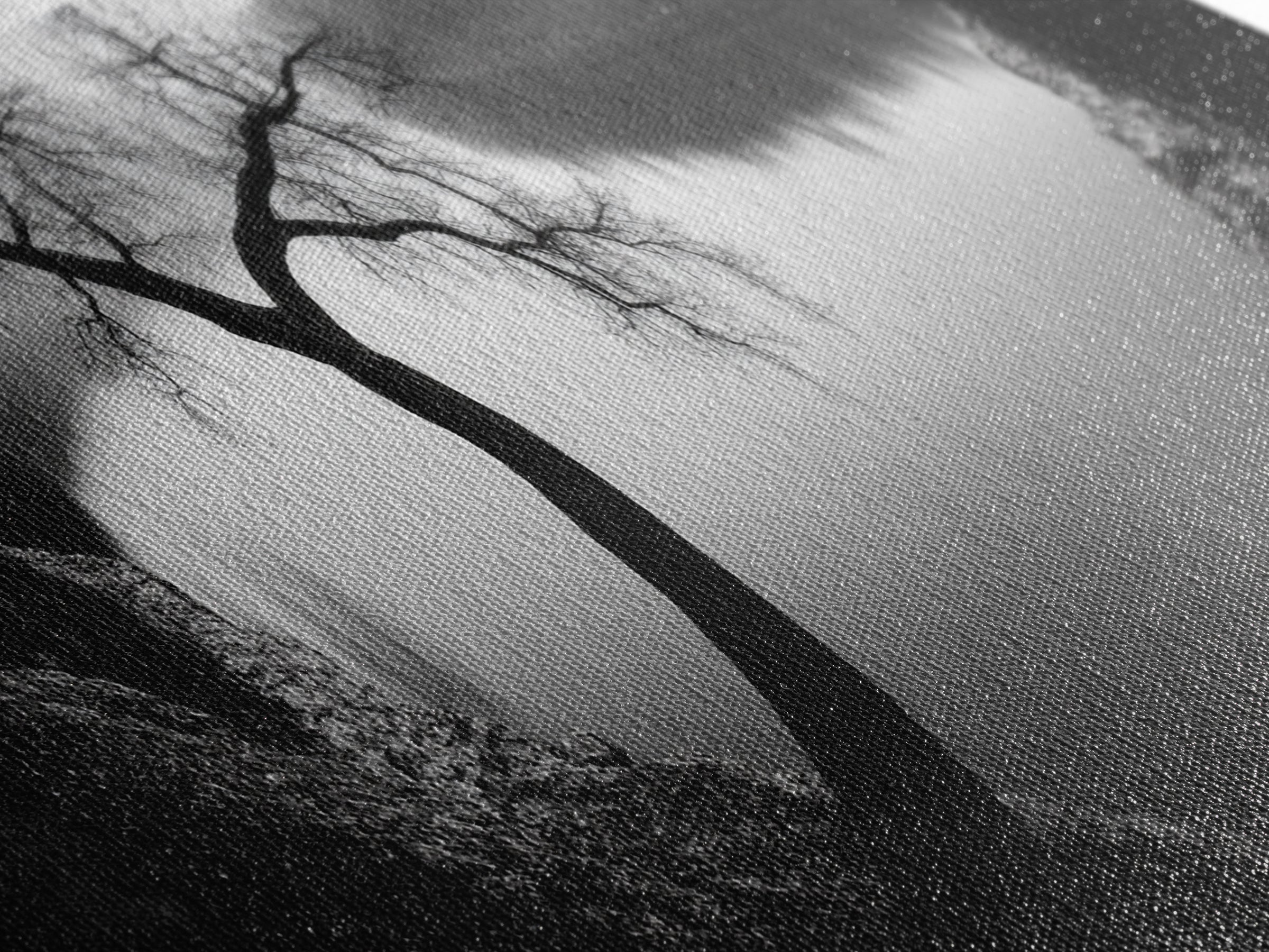 Curved Tree, Still Lake, Moody Landscape, Framed Canvas Print, Modern Nature Photography, Fall Home Decor, Living Room Art