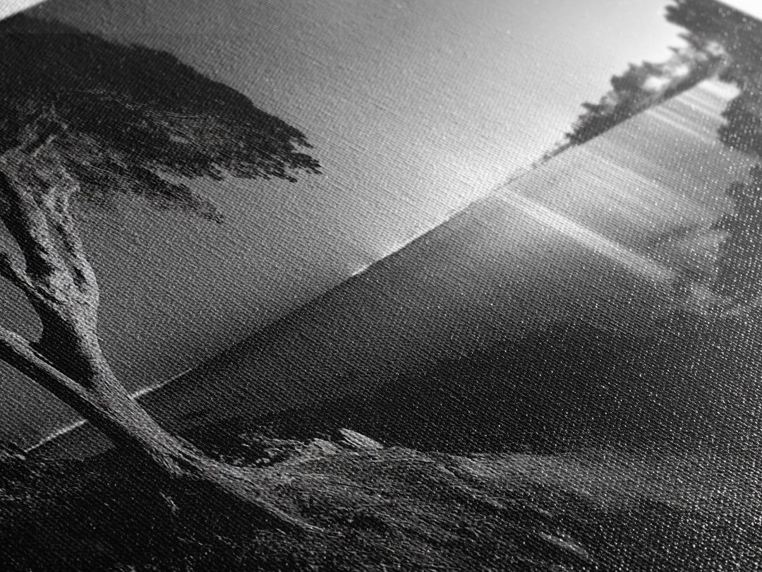 Coastal Night, Tree Silhouette, City Horizon, Framed Canvas Print, Moody Landscape Art, Modern Living Room Wall Decor