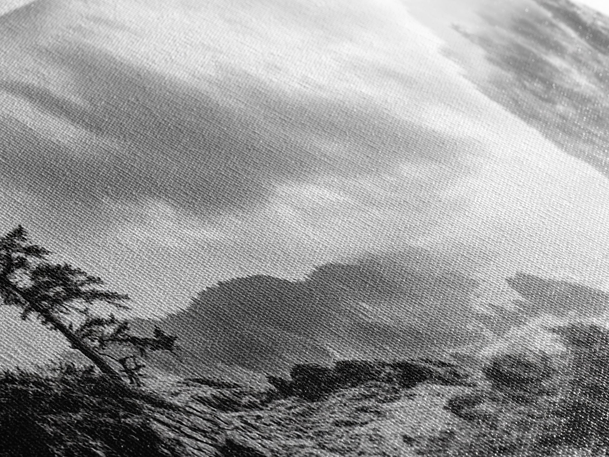 Ocean Cliff, Pine Trees, Foggy Coast, Canvas Print, Dramatic Nature Wall Art, Rustic Cabin Decor, Black and White Landscape