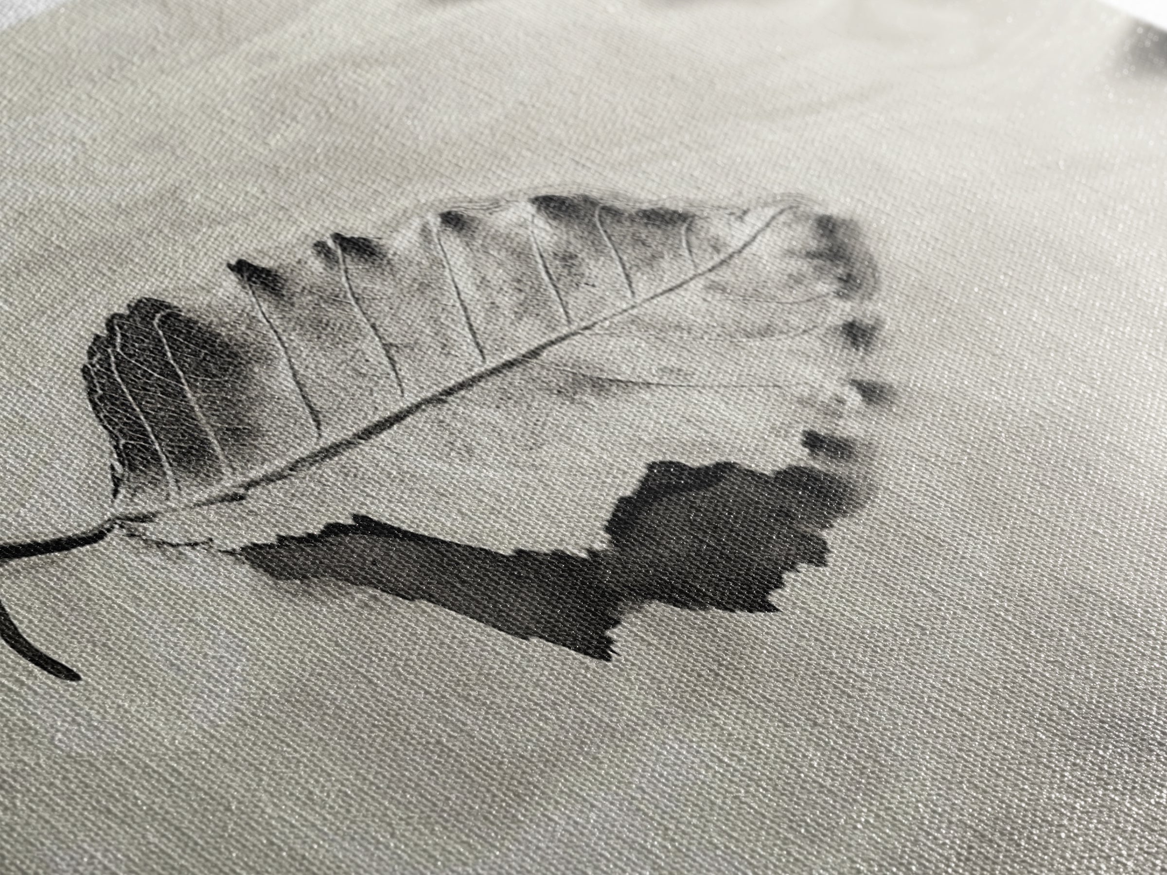 Autumn Leaf, Water Reflection, Nature Minimalism, Floating Stillness, Framed Canvas Print, Fall Wall Art, Neutral Tones, Bathroom Decor