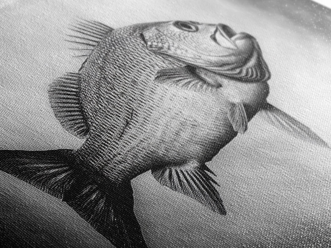 Floating Fish, Surreal Ocean, Realistic Scales, Sky Scene, Framed Canvas Print, Nautical Wall Art, Coastal Decor, Fishing Cabin Aesthetic